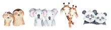 Watercolor Animals Character Collection. Panda, Sloth, Giraffe, Koala