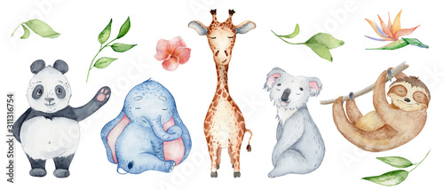 Fototapeta na wymiar Watercolor animals character collection. Panda, sloth, giraffe, koala, elephant