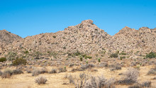 View In The Desert Of Joshua Tree, California