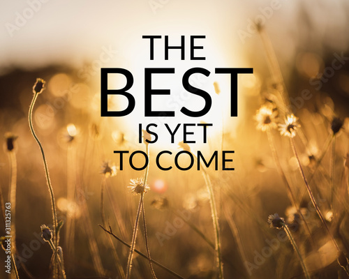 Fotomural Inspirational and motivation quote on meadow in field of nature background with vintage filter