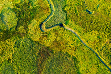 Sticker - Marvelous view of winding river in green field. Lush wetlands of bird's eye view.