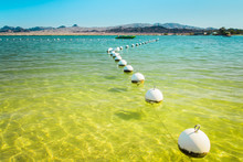 Line Of White Buoys And Fast Boat Silhouette In Quiet Turquoise Blue To Yellow Green Clear Water. Colorado River At Lake Havasu City Landscape Background. Summer Holidays Destination In Arizona, USA.