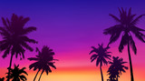 Fototapeta Zachód słońca - Black palm trees silhouettes at colorful sunset background, vector tropic banner illustration background