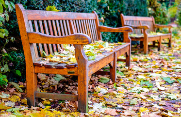 Poster - wooden parkbench