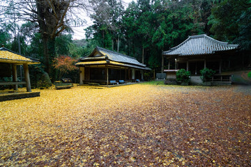 Poster - Iwagami shrine in Awaji.