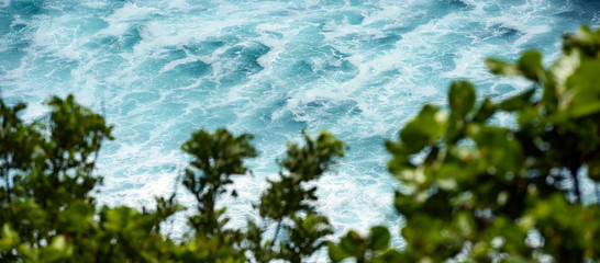 Wall Mural - (Selective focus) View from above, stunning aerial view of some ocean waves in the background and blurred lush vegetation in the foreground. Indian Ocean, South Bali, Indonesia.