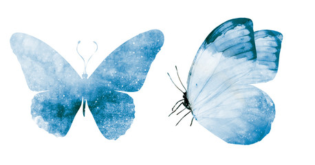 Wall Mural - Two watercolor butterflies , isolated on white background