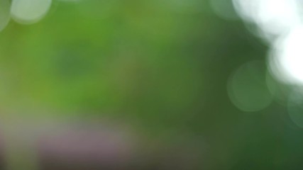 Poster - Abstract footage motion blurred with sunrise light flare background
