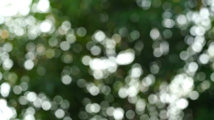 Aufkleber - Abstract footage motion background with green natural bokeh