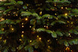 © Gecko Studio - Christmas tree background with Christmas lights hanging garland
