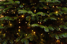 Christmas Tree Background With Christmas Lights Hanging Garland