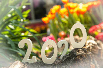 Happy New Year 2020 concept. Close up numberal 2020 white wooden letters on stone with green blurred and flowers background. 