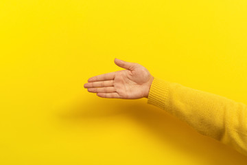 Wall Mural - palm with place for text over yellow background, female hand with advertising space