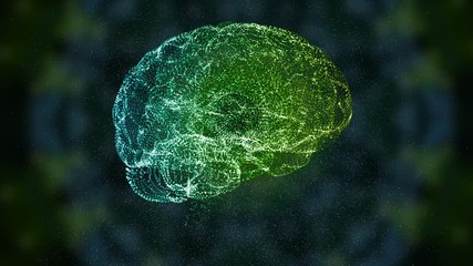 the universe within an abstrct brain mockup floating in space.