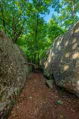 Wall Mural - West Rim Loop Trail, Cloudland Canyon State Park, Georgia, USA