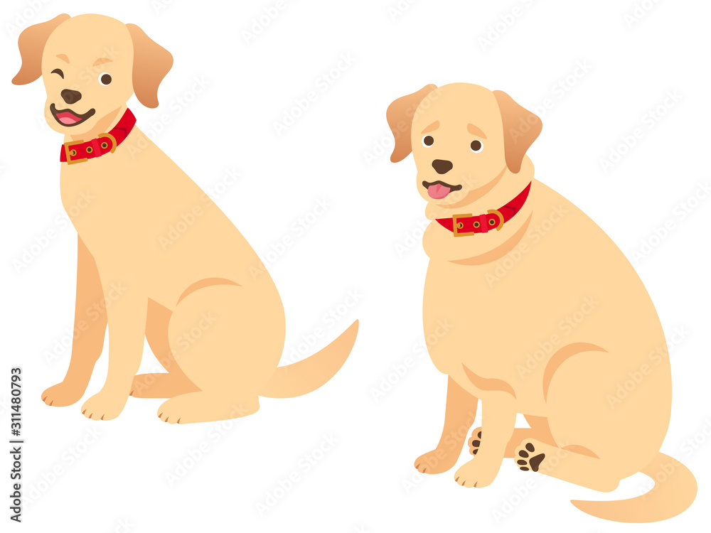 Fototapeta 太った犬と標準体型の犬のイラストセット Anime Fototapety Ecowall24 Pl Fototapeta 太った犬と標準体型の犬のイラストセット Anime Fototapety Ecowall24 Pl
