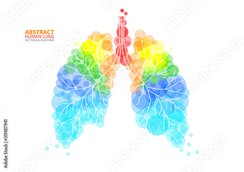 Fotografía Abstract human lung vector with transparent orbs