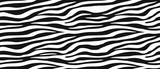 Fototapeta Zebra - Zebra skin, stripes pattern. Animal print, black and white detailed and realistic texture. Monochrome seamless background. Vector illustration 