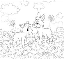 Small Donkey And A Little Calf Walking Among Wild Flowers On Grass Of A Summer Field On A Beautiful Sunny Day, Black And White Vector Cartoon Illustration