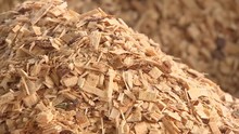 Production Of Wood Shavings At A Woodworking Factory. Sawmill Processes Trees Into Shavings.