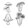 Mushroom set engraving vector illustration. T-shirt apparel print design. Scratch board style imitation. Black and white hand drawn image.