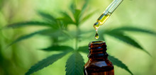 Close-up Images Of Medicine Drops, Marijuana Medicine, Biological And Ecology, Medicinal Plants, Cbd Oil From Bottles, Herbal Treatment, Alternative Medicine