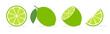 Vector lime slice green illustration lemon isolated half fruit lime. Fresh green cut citrus icon