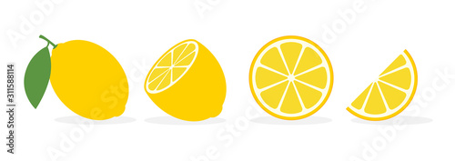 Lemon slice citrus fruit flat icon Tableau sur Toile