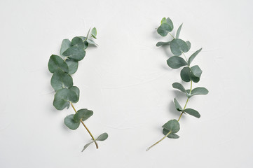 Eucalyptus leaves frame on white background with place for your text. Wreath made of leaf branches. Flat lay, top view