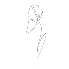 Wall Mural - Flower silhouette, line drawing. Vector illustration