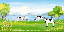 Rural Farm Landscape With Green Fields,cow And Windmills Farm On Lakes With Blue Sky And Clouds, Vector Cartoon Spring Or Summer Landscape,Eco Village Or Organic Farming In Uk