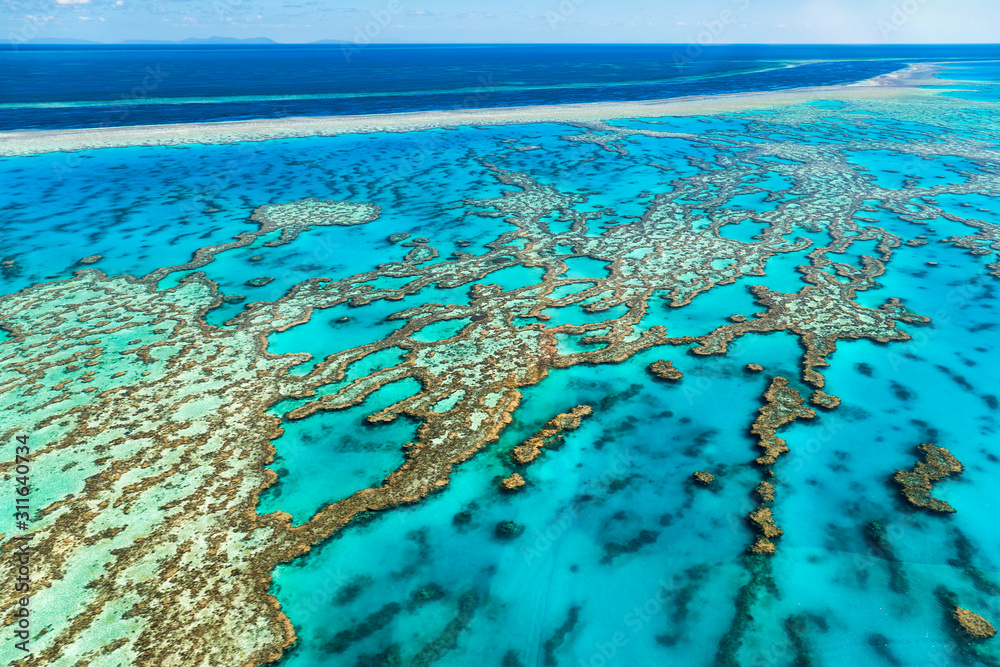 Great Barrier Reef.. Australia - obrazy, fototapety, plakaty 
