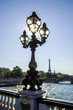 Paris, Eiffelturm, Tour Eiffel, Pont Alexandre III, Frankreich