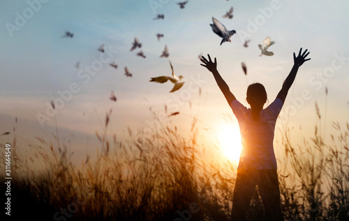 Fotomural Woman praying and free bird enjoying nature on sunset background, hope concept
