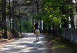 © xuanhuongho - Man ride a horse on the way through pine jungle, Da lat city