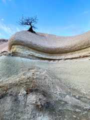 Wall Mural - At the top of the pink mountain stands one tree without foliage against the sky. Cappadocia, Turkey. UNESCO World Heritage. 05 december 2019