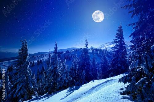 Plakaty księżyc   ksiezyc-w-pelni-nad-zimowym-glebokim-lasem-pokrytym-sniegiem-w-zimowa-noc