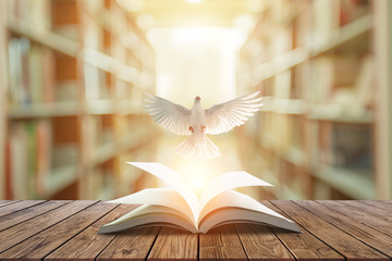 Fototapete - White pigeons fly out of books that are flicked by the wind in beautiful light on blur Library background.Education freedom concept and international day of peace