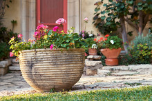 Large Decorative Clay Flower Pot In Front Of House With Beautiful Red Flowers Outdoors In Summer Evening
