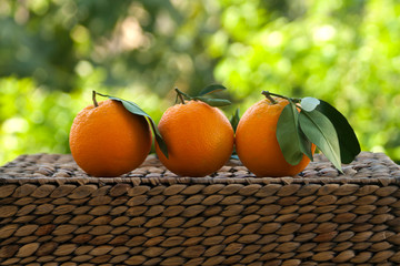 Wall Mural - Freshly picked oranges on table