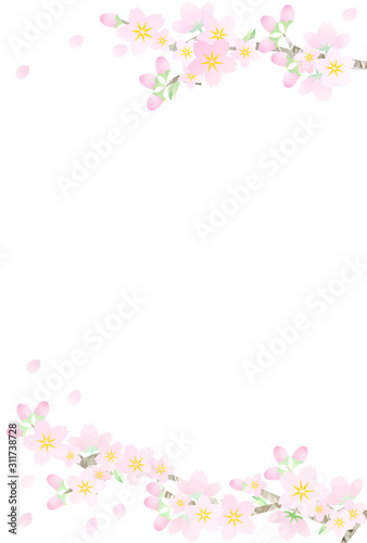 ポストカードサイズ 桜のフレーム 縦 Stock Vector Adobe Stock ポストカードサイズ 桜のフレーム 縦 Stock Vector Adobe Stock