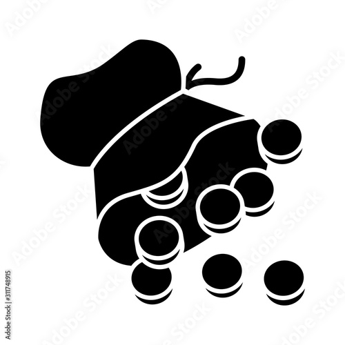 Cuadros en Lienzo Thirty pieces of silver glyph icon
