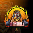 Mandrill baboon mascot esport logo design.