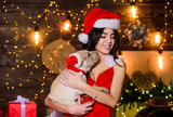 Sensual girl in erotic lingerie. Veterinary shop. Animals rights. Puppy  dog. Happy new year. Merry christmas. Attractive woman lovely pet. Dogs  friendly concept. Sexy woman in santa hat hug puppy Stock Photo