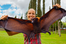 Funny Portrait Of Young Girl Holding In Hands Giant Flying Fox ( Fruit Bat ). Day Tour On Family Summer Holidays With Kids. Popular Travel Destination, Tourist Attraction In Tropical Bali Island