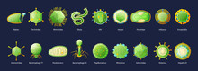 Viruses Educative Set 