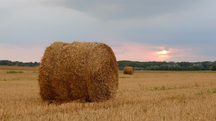 Poster - Hay bales in the sunset