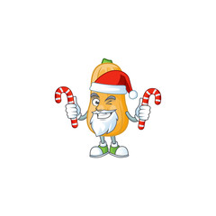 Wall Mural - Butternut squash Cartoon character in Santa Claus with candy