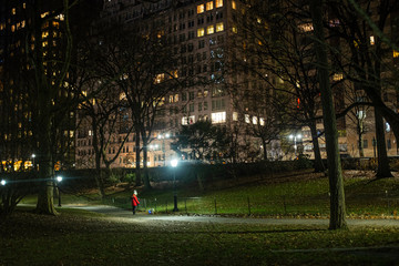 Poster - Walking the dog at night 