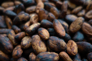 closeup of chocolate seeds